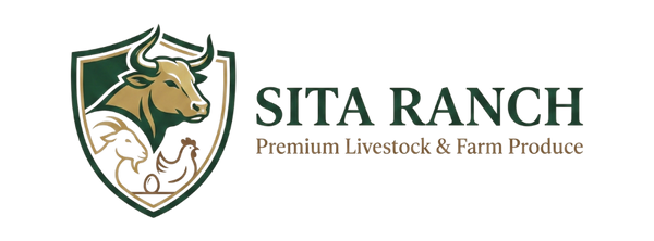 Sita Ranch